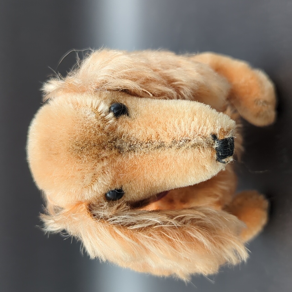 Vintage Charming Tan Plush Dog Steiff Dashhound